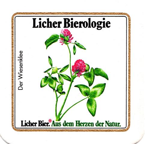 lich gi-he licher biero blu lo rd 2b (quad185-der wiesenklee)